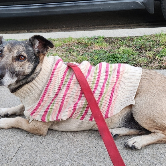 Meet your Posher, Dot - Picture 4 of 4